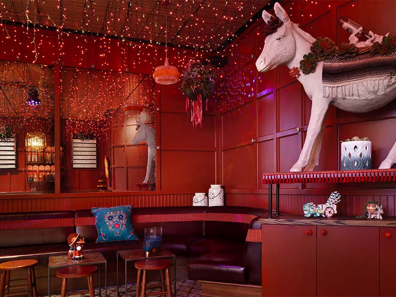 Ghost Donkey