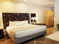 Gold Coast 1 Bedroom Executive Suite