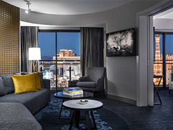 Cosmopolitan Terrace Suite